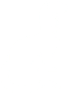 Snokareverse1